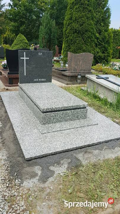 Nagrobekstrzegomski impala z posadzką Budownictwo i akcesoria