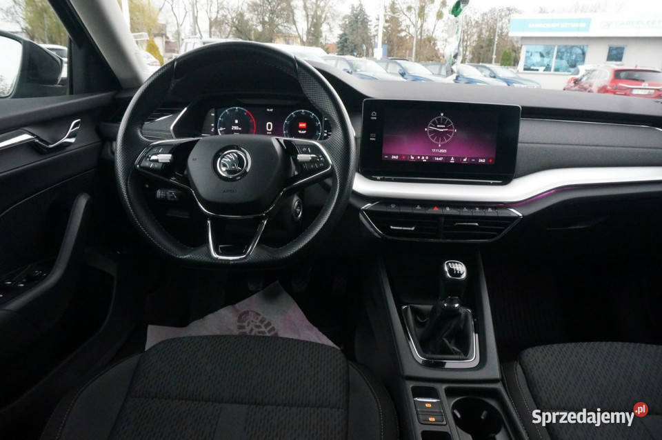 koda Octavia 20 TDI 150 Style Salon Polska wspomaganie kierownicy Poznań