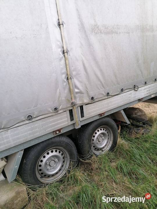 Przyczepa THULE TRAILERS DMC 2500 415180 m Trzebiatów