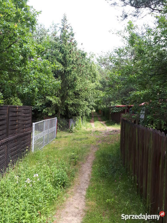 działka rekreacyjna Narwią z domkiem Dzbądzek