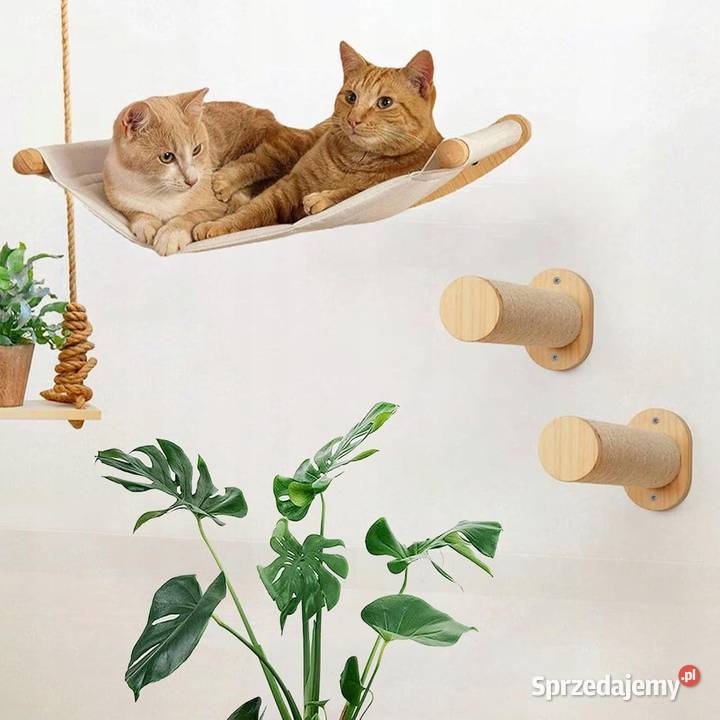 SCHODKI ŚCIANKA WSPINACZKOWA KOTA DRABINKA Myszyniec sprzedam