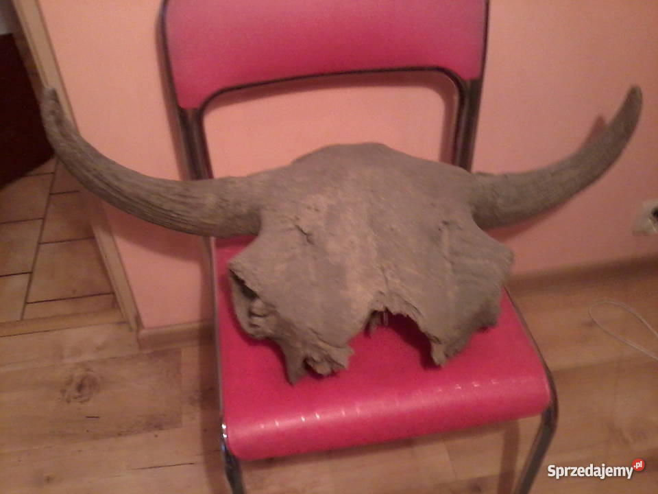 rogi tura mazowieckie