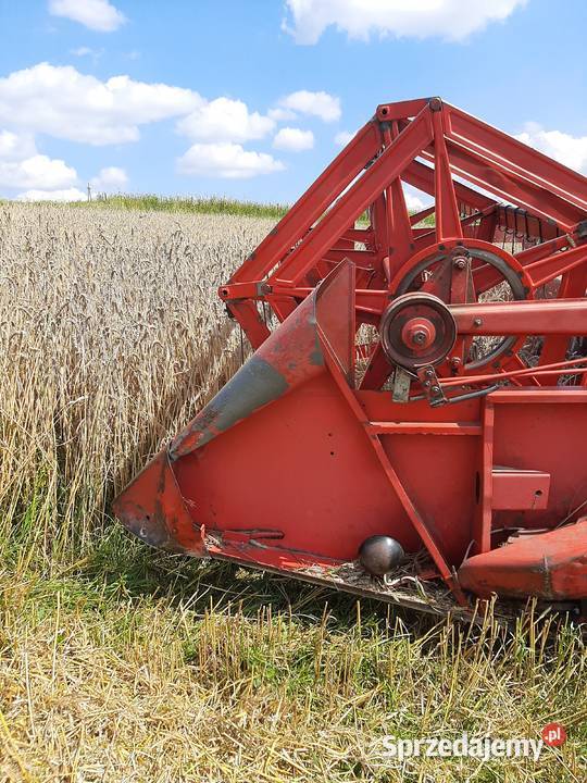 Sprzedam kombajn massey ferguson 87 mf podkarpackie Wara
