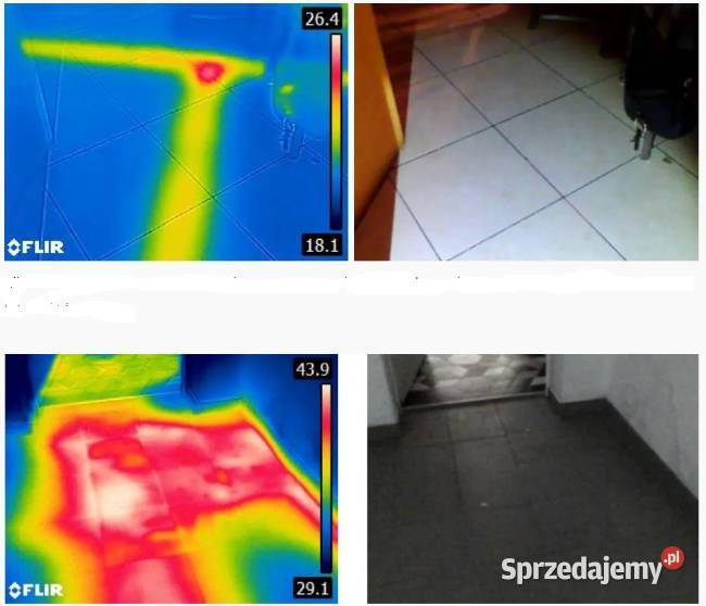 wycieku wody Termowizja Gazy Geofon Wilgoć śląskie