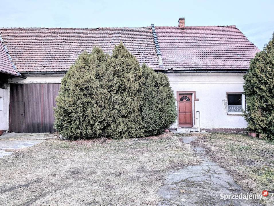 Dom do wprowadzenia 125m z garażem i sadem do zamieszkania Rogów Opolski