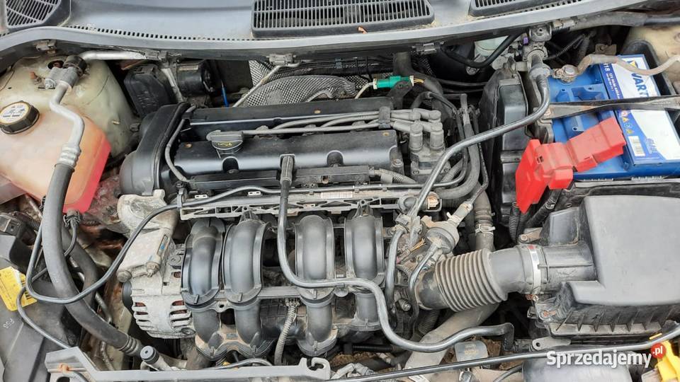 Ford Fiesta 125 benzyna rocznik 2009 przebieg Luboń