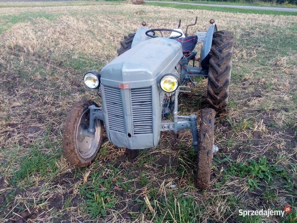 Ferguson tea 20 1951 zarejestrowany Poddębice