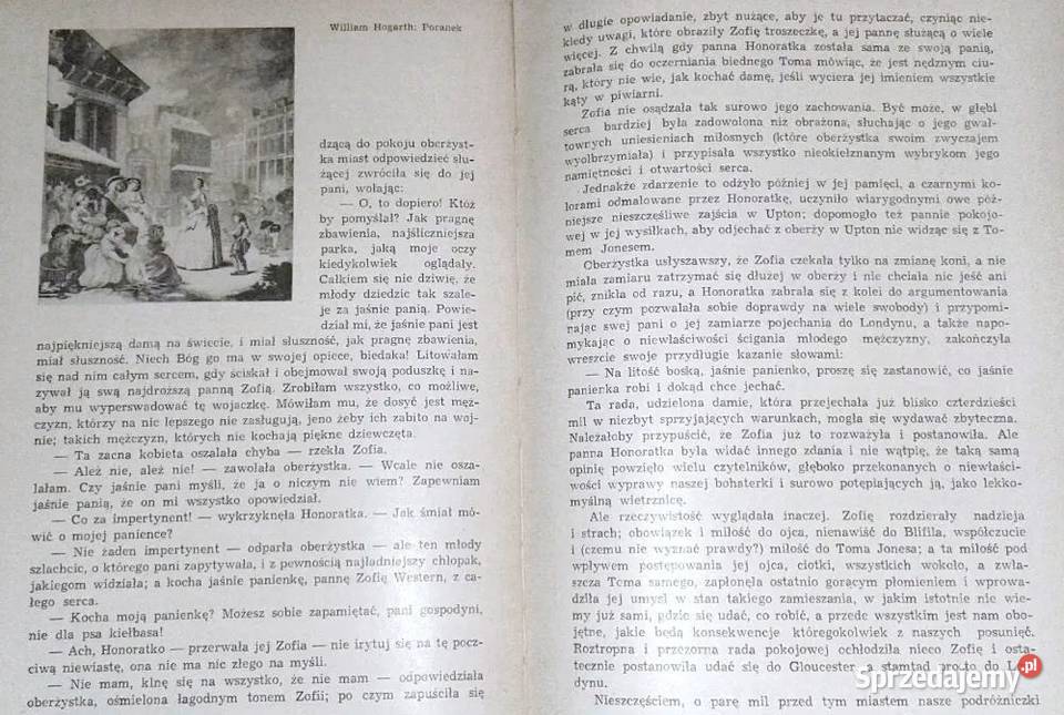 Antologia literatury powszechnej Tom 1 L Chełm sprzedam