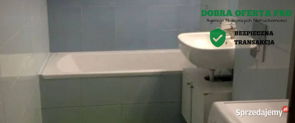 ielony azyl w Gdańsku widok na las Gdańsk