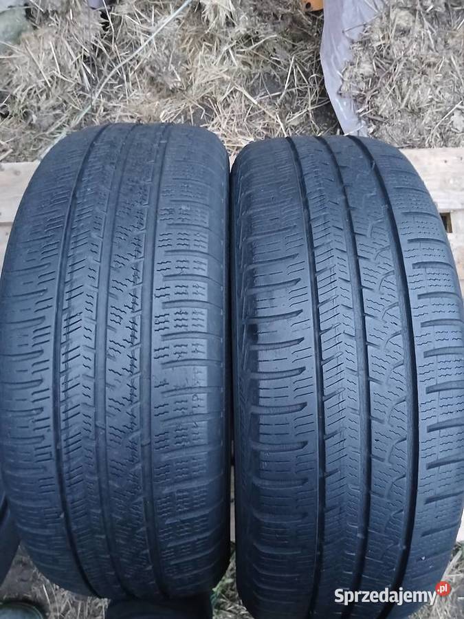 Opony letnie 1955516 Apollo łódzkie