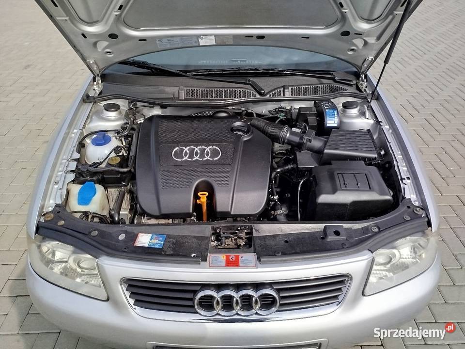 A3 8L 16 Benzyna 2002 5 drzwi 260 A3 Świdnik