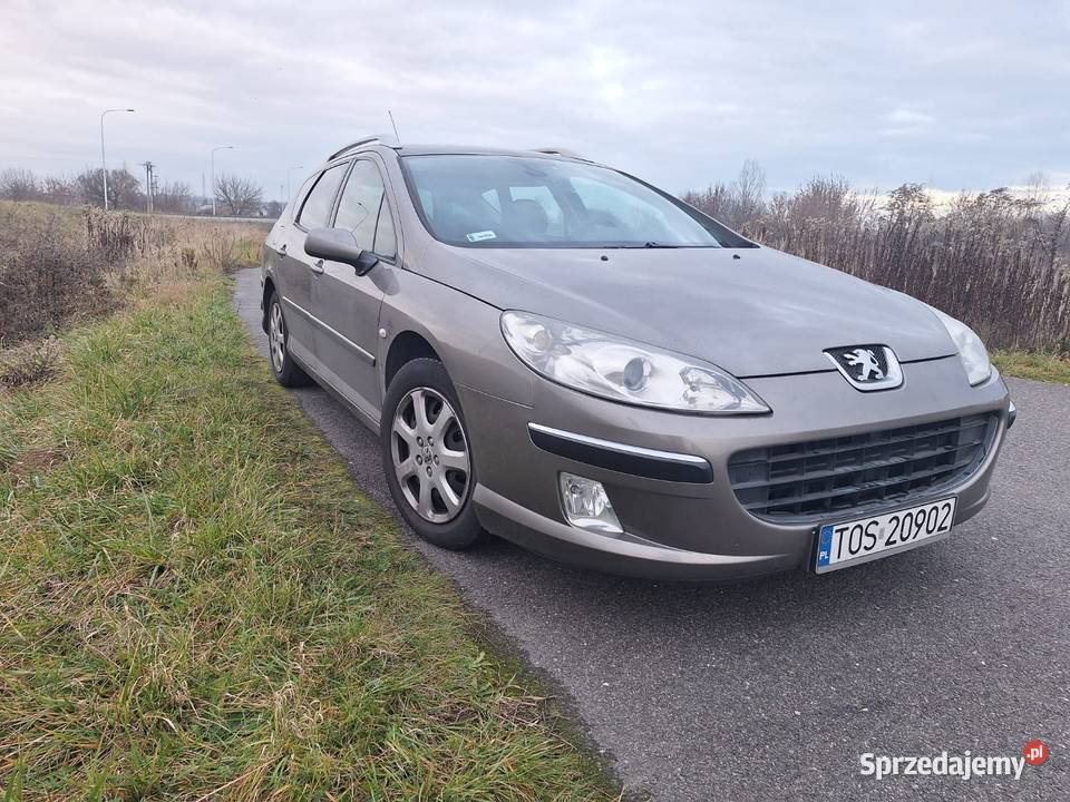 Peugeot 407 SW