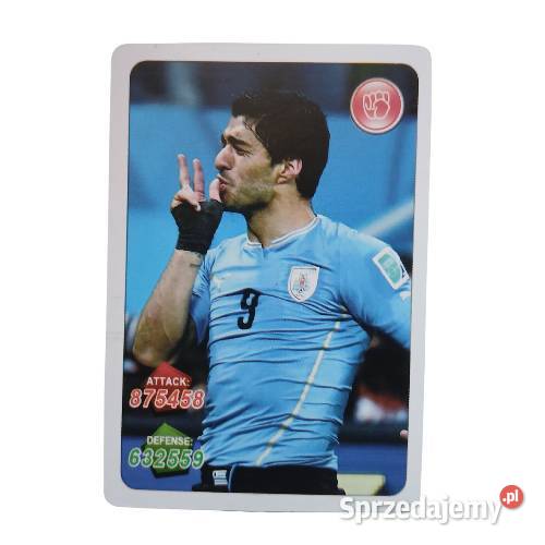 Karta piłkarska Euro 2024 dolnośląskie Legnica