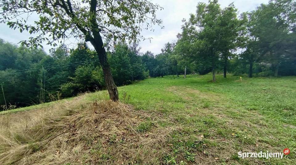Działka budowlana 19 arów Janowice powiat małopolskie
