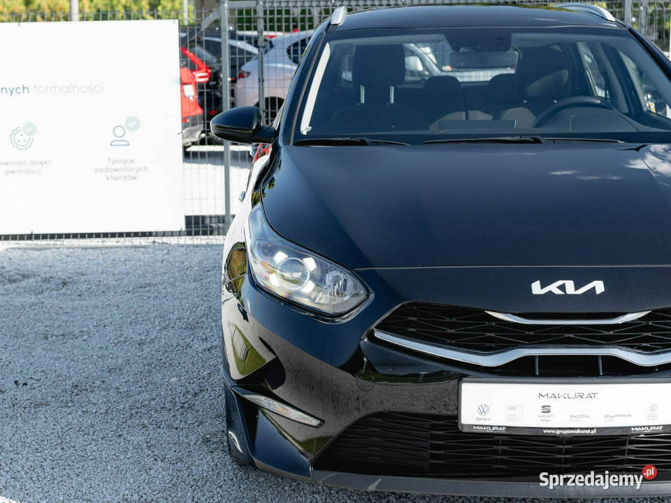 Kia Ceed WA5659H15 TGDI M DCT 2 stref klima Kcof automatyczna Gdańsk