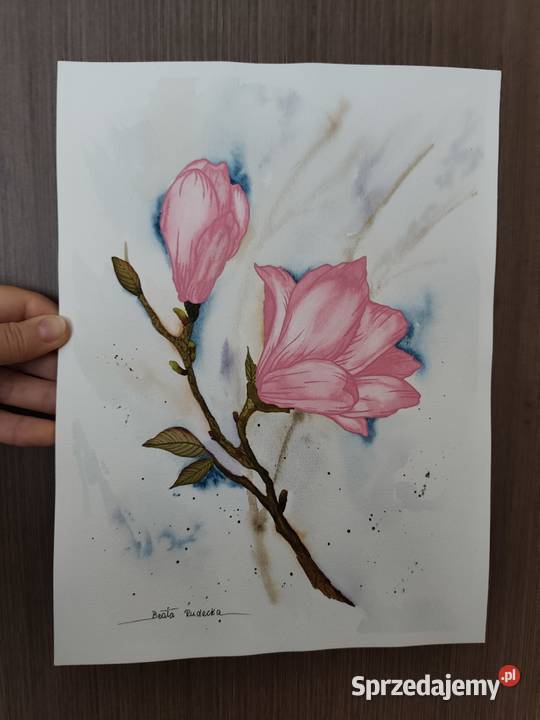 Akwarela Akwarelka Obraz pt Magnolia 225 x 30 Katowice