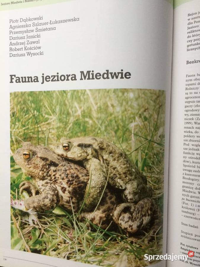 2773 Jezioro Miedwie I Nizina Pyrzyca Szczecin sprzedam