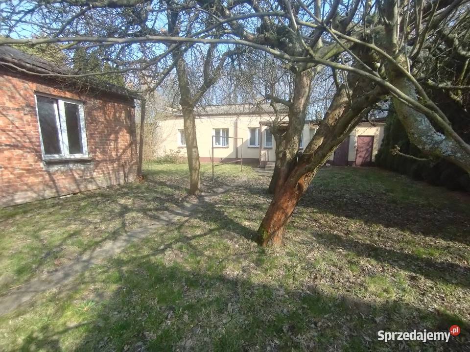 Sprzedam dwa domy Radom Długojów w mieszkania w Rok budowy 1974 mazowieckie
