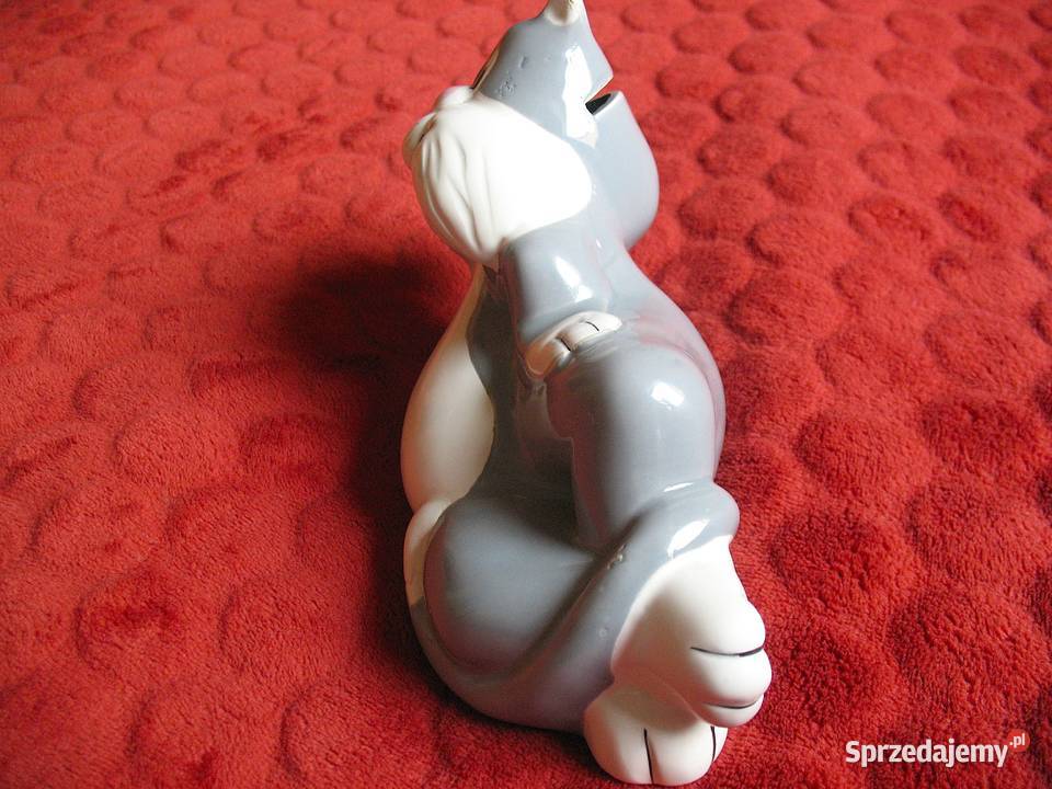 Kot Skarbonka 12 x 20 x 8 Kot Sylwester mazowieckie Siedlce