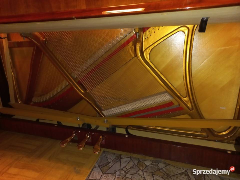 Pianino Calisia model Chippendalle stan nowe