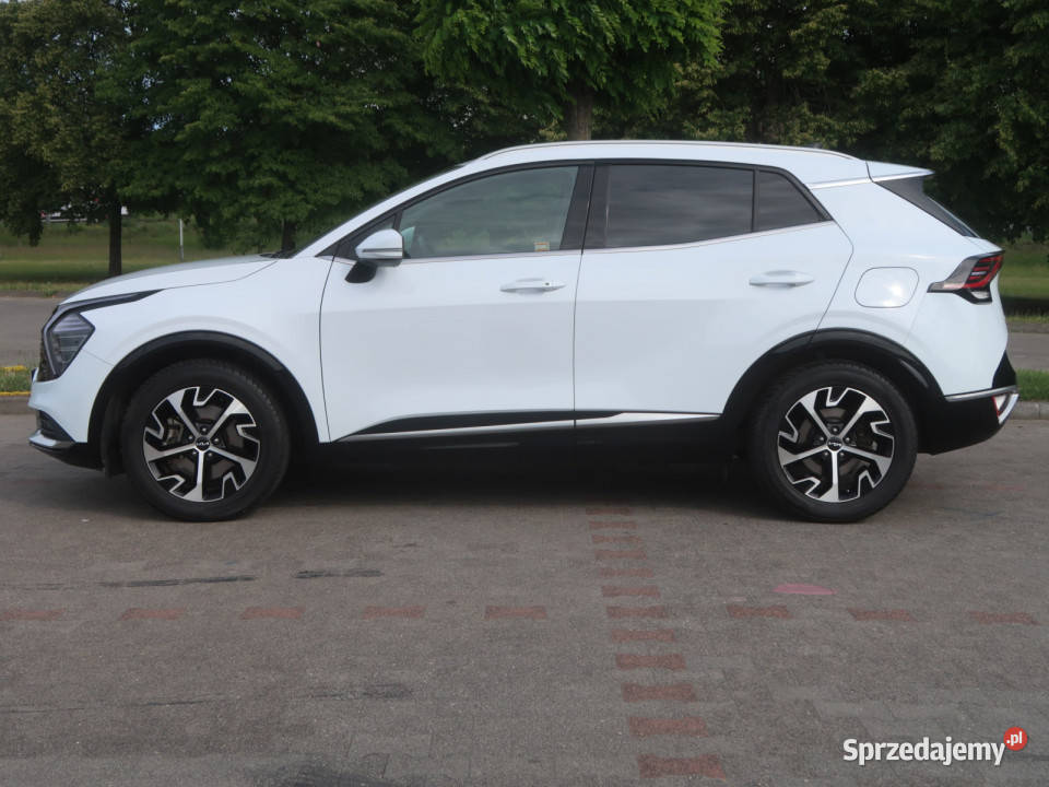 Kia Sportage 16 TGDI HEV