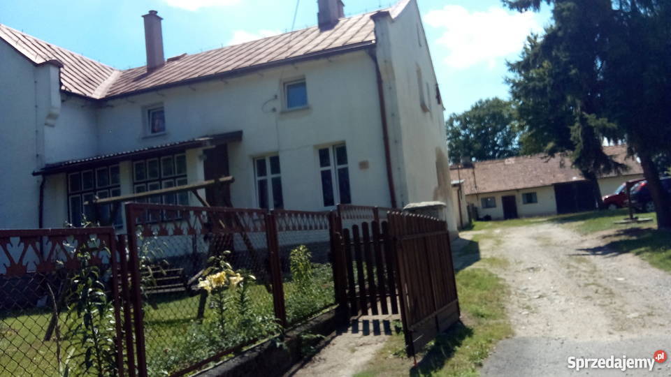 Mieszkanie w Dzierzkowie Dzierzków