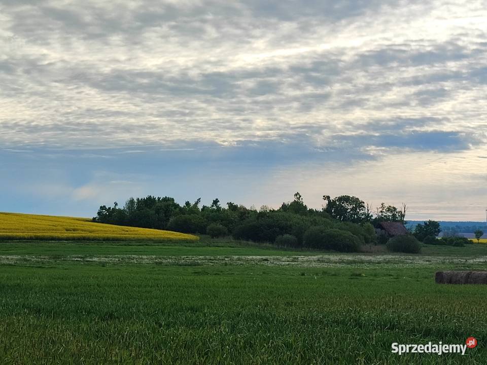Siedlisko niedaleko BISZTYNKA 5500 m2 TANIO Sprzedaż Grzęda