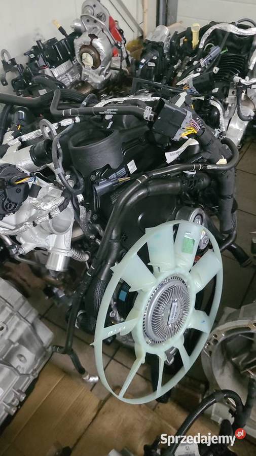 Silnik Ford Transit Kto Naprawia Fordy Transity Radom sprzedam