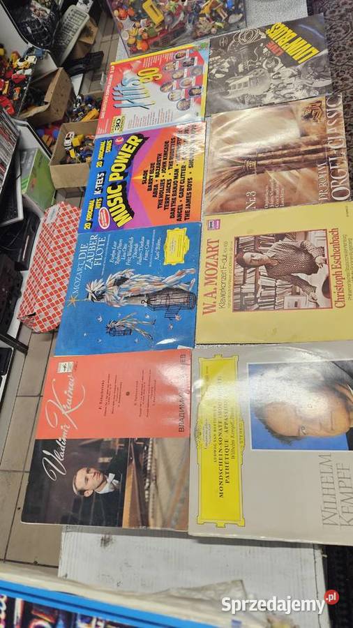 Różne płyty CD Winylowe i kasety z muzyką Grodków