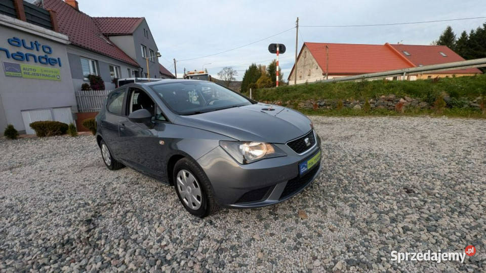 Seat Ibiza 12 benzyna IV 2008 Kamienna Góra