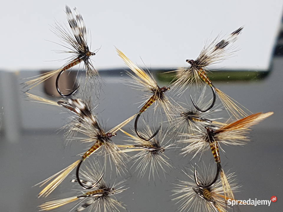 Sztuczne muchy suche jętki skrzydlate Wędkarstwo Leśna