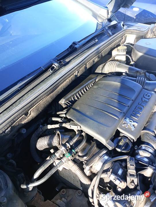Peugeot 407 Łapy sprzedam