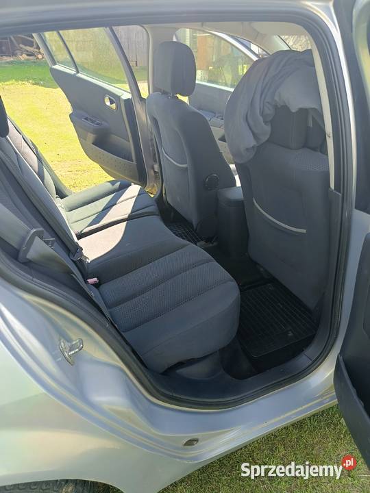 Renault Megane 2004 Skierbieszów