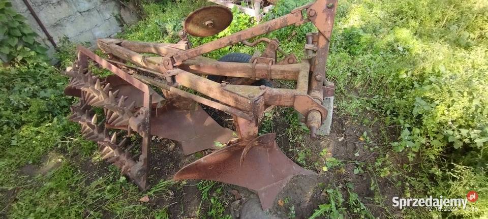 Pług 3 skibowy kolczatka Rabinowo sprzedam