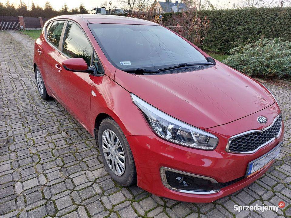 Kia Ceed, hatchback, wyposażenie - M Krosno - Sprzedajemy.pl