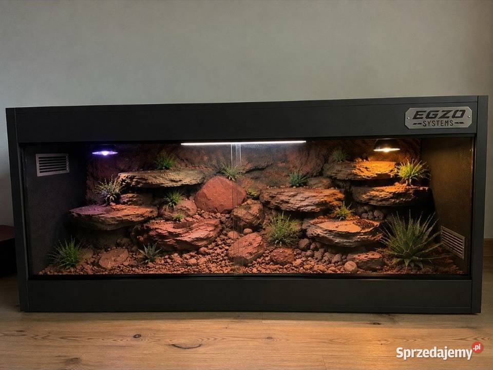 Terrarium specjalistyczne gekona lamparciego podkarpackie Krosno