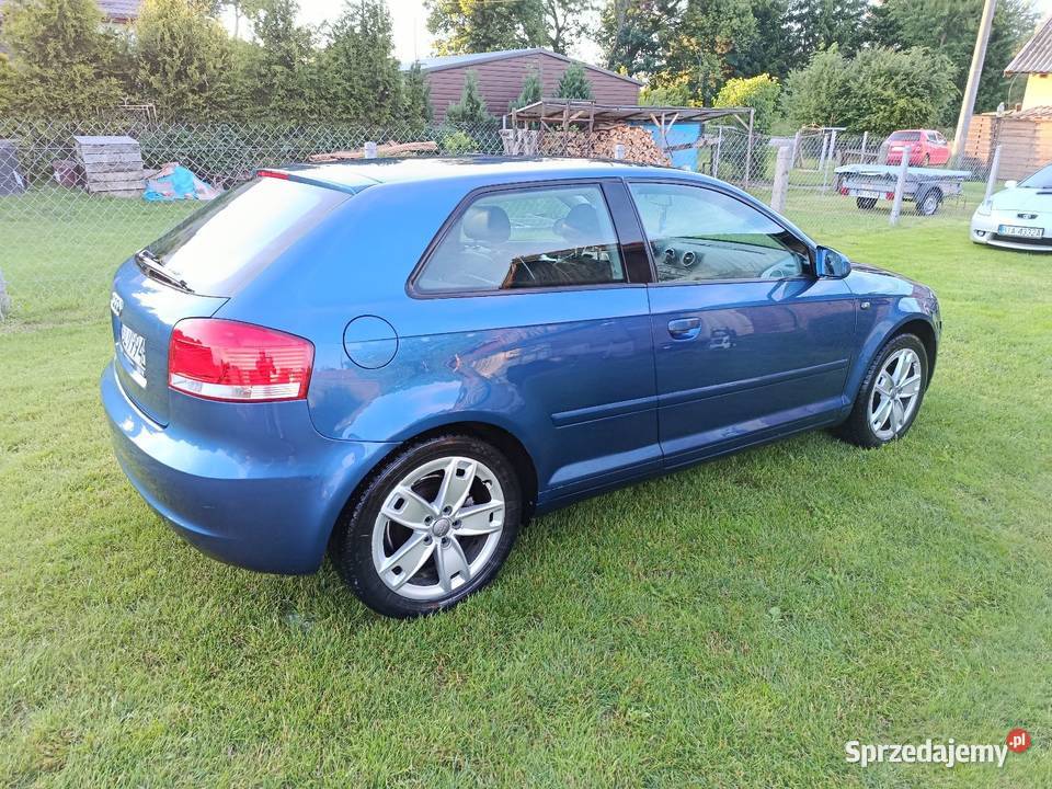 Audi A3 Orneta
