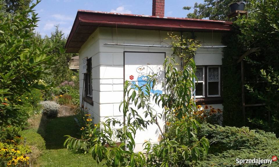 Działka rekreacyjna na ROD Skarbówek Szczecin