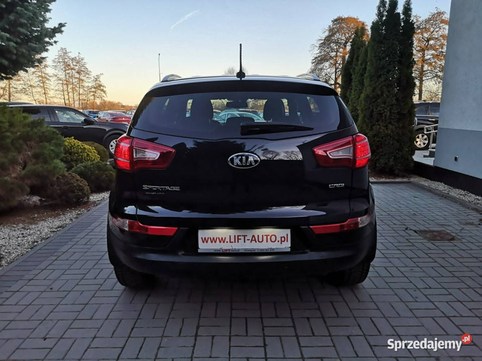 Kia Sportage 17 CRDI 116 Klimatr Skóra Kamera garażowany Sportage dolnośląskie