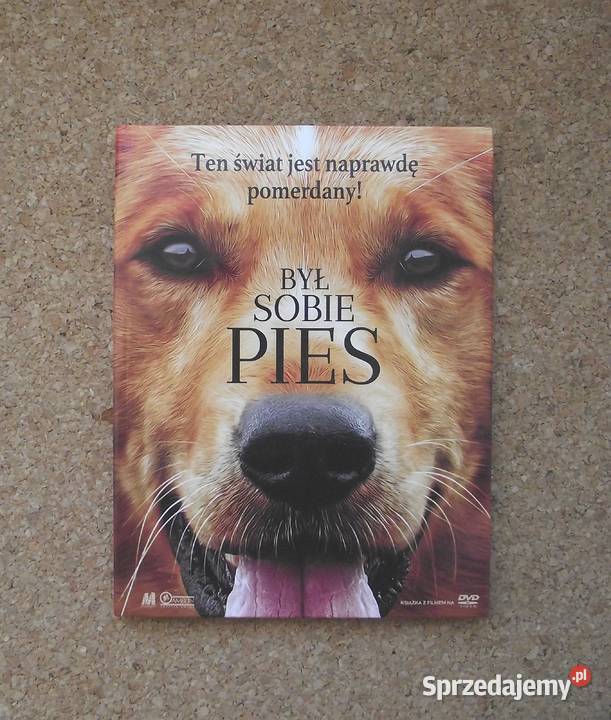 Był sobie pies familijny komedia Filmy