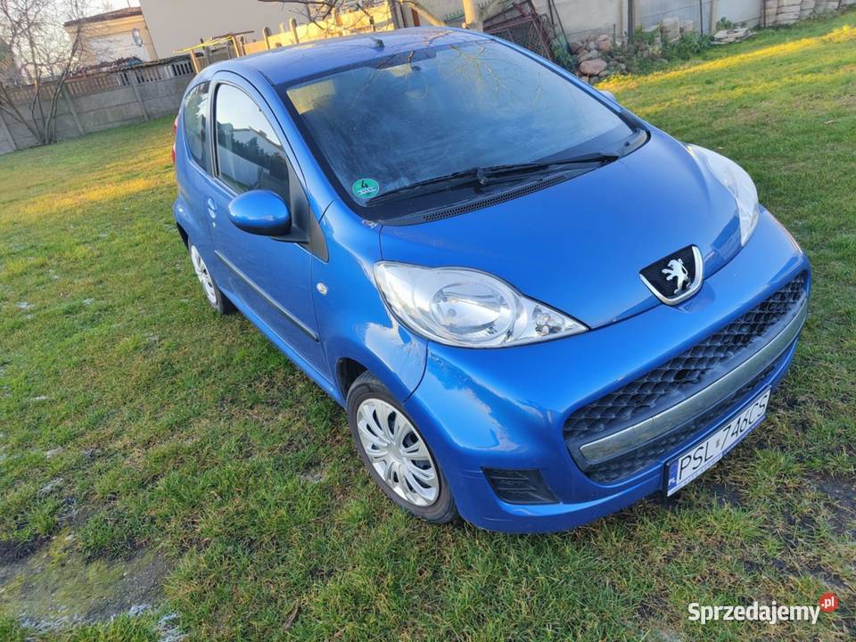 Peugeot 107 wielkopolskie Strzałkowo