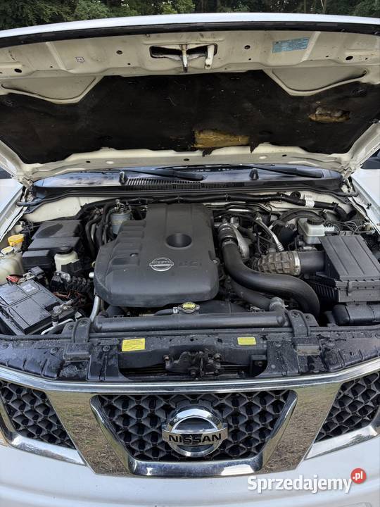 Nissan Navara Pick Up 25 Dci Zadbany 2478cm3 Nowogrodziec