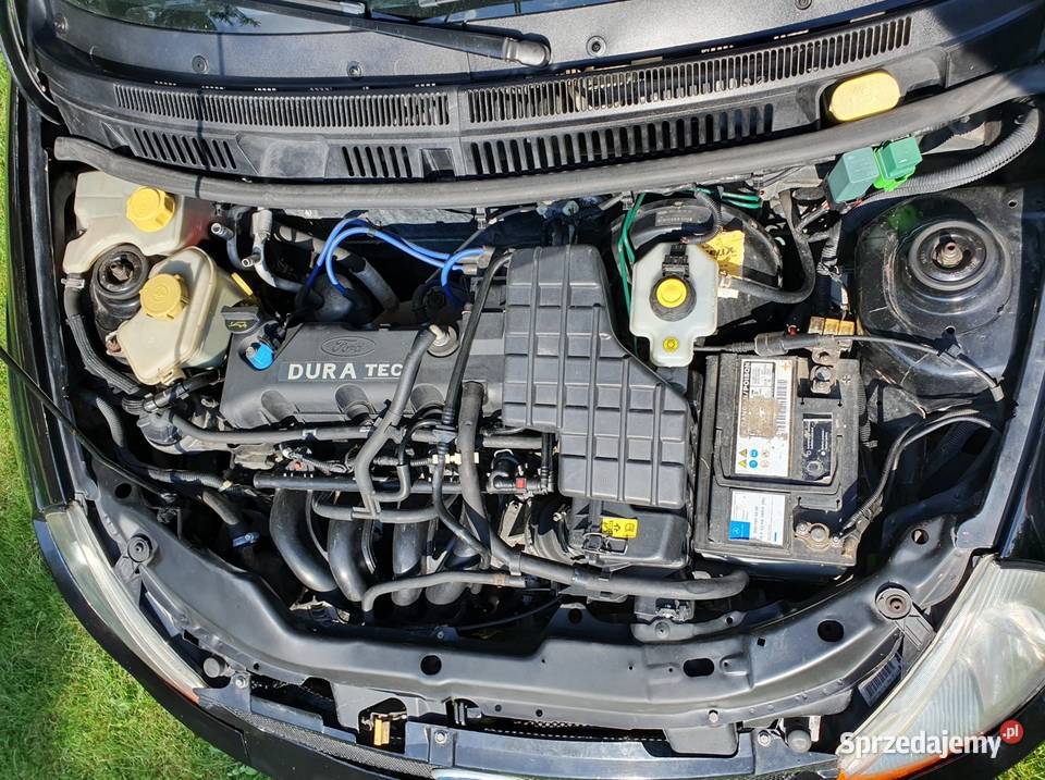 Ford Streetka 16 2003r lubelskie Kraśnik sprzedam