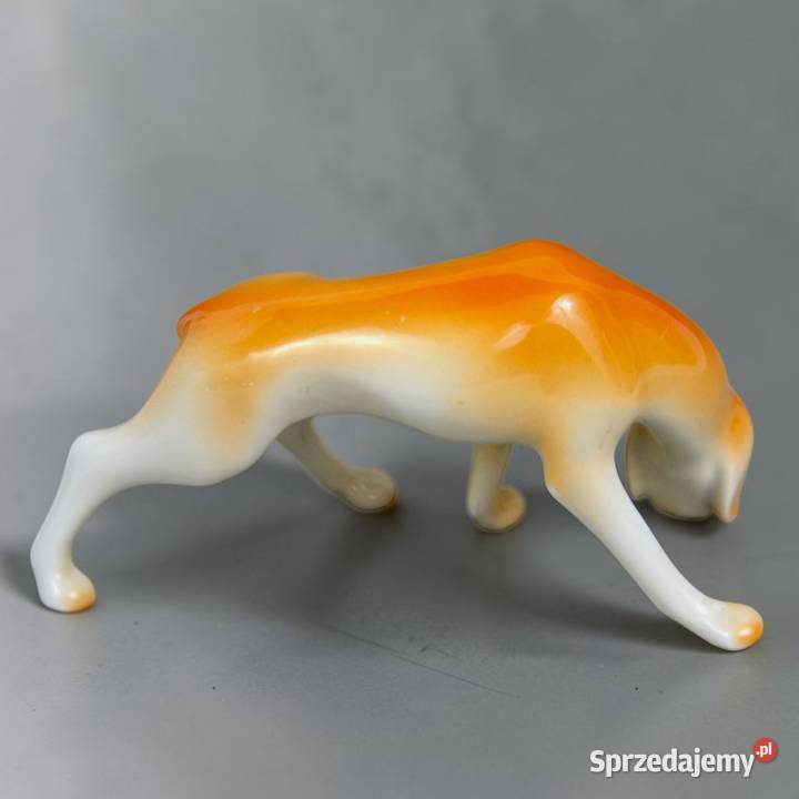 Pies wyżeł krótkowłosy Aurl Kldor porcelana Bronisze sprzedam