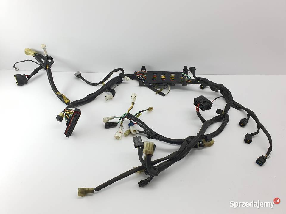 Wiazka Instalacja Yamaha Rx1 Warrior Mountain łódzkie