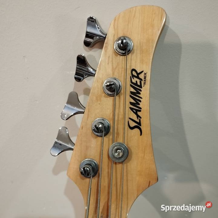 Gitara Basowa Żary sprzedam