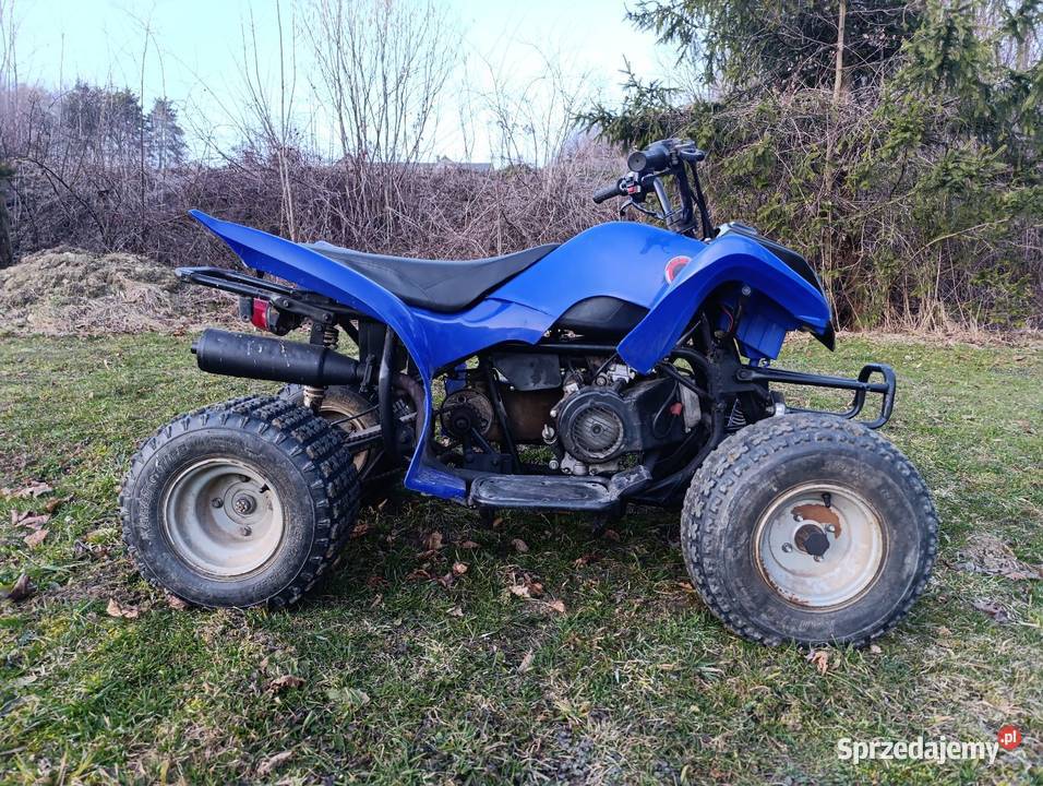 Sprzedam Quada Limanowa