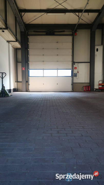 Lokal wynajmę 2800m2 Kajetany Ilość pomieszczeń 15