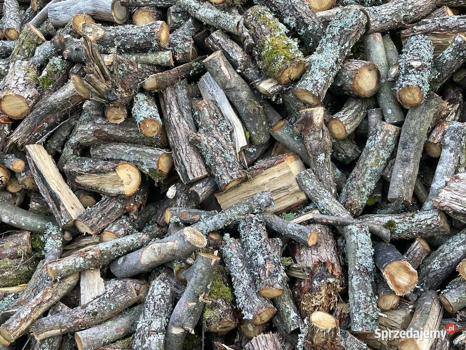 Drewno Opałowe Buk Dąb Sosna Świerk