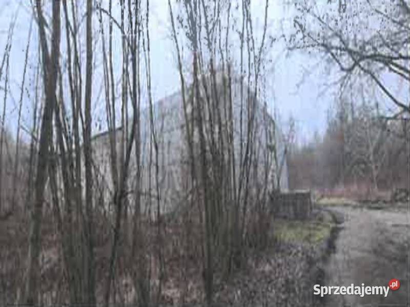 Syndyk sprzeda prawo użytkowania wieczystego Zgierz